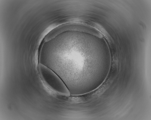 X0000112511128200908171328