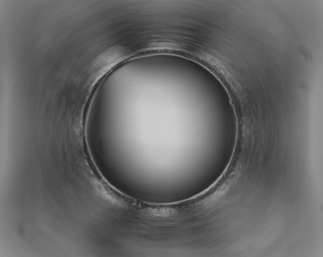 X0000112511129200908171328