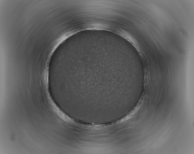 X0000112511130200908171328