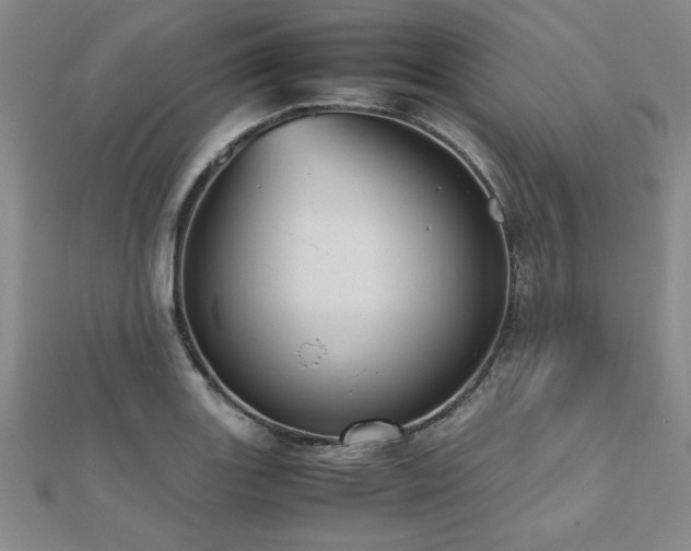 X0000112511131200908171328
