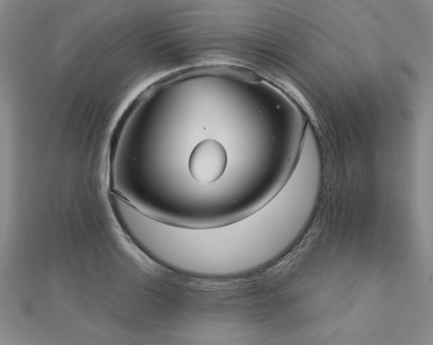 X0000112511132200908171328
