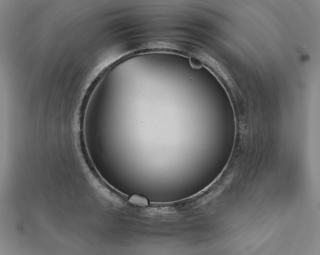 X0000112511133200908171328