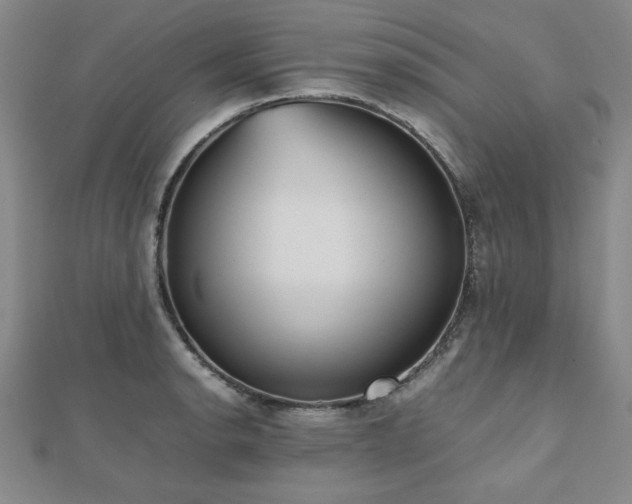 X0000112511134200908171328