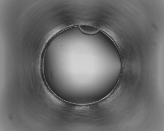 X0000112511135200908171328