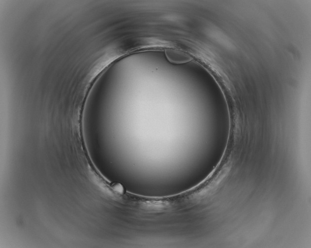 X0000112511137200908171328