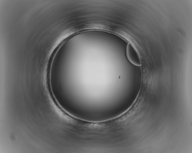 X0000112511139200908171328