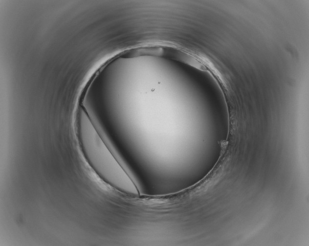 X0000112511140200908171328