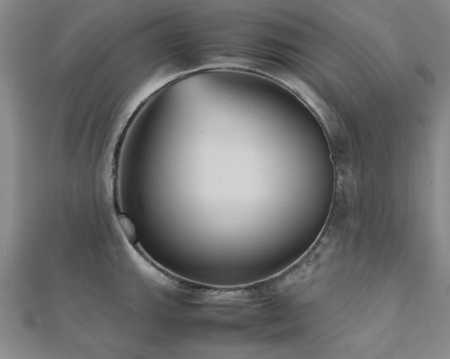 X0000112511143200908171328
