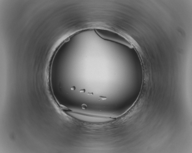 X0000112511144200908171328