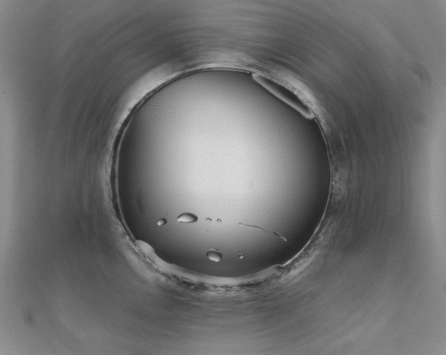 X0000112511146200908171328