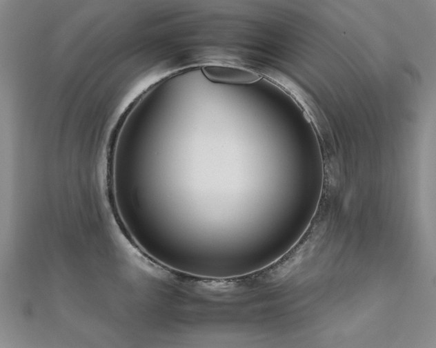 X0000112511147200908171328