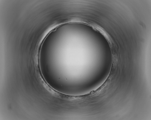 X0000112511148200908171328