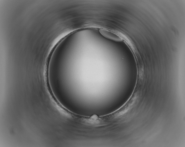 X0000112511149200908171328