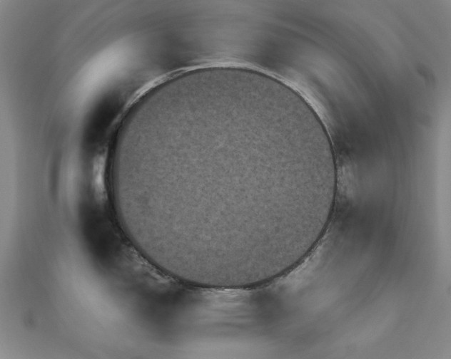 X0000112511150200908171328