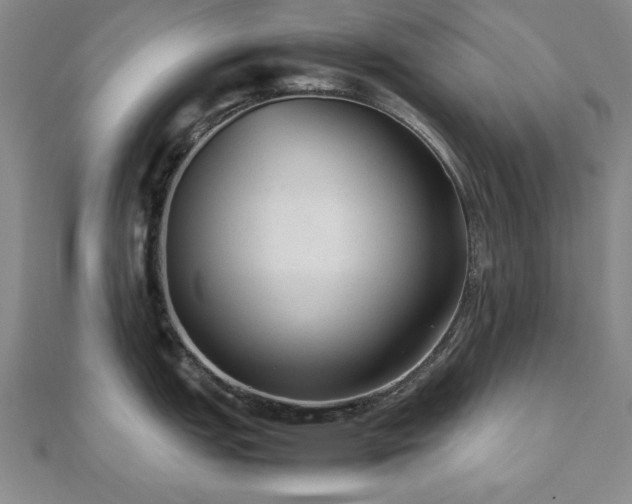 X0000112511151200908171328