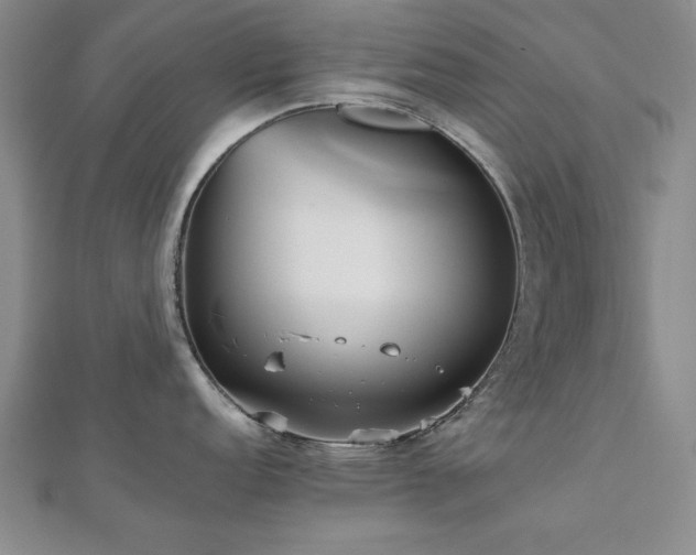 X0000112511152200908171328