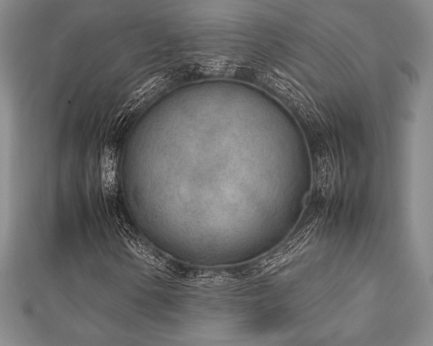 X0000112511154200908171327