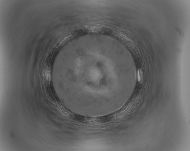 X0000112511155200908171327