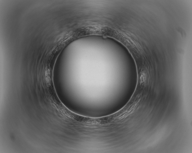 X0000112511156200908171327