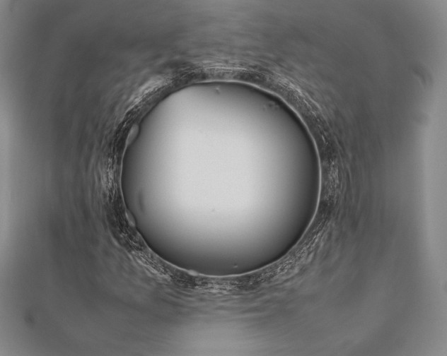 X0000112511157200908171327