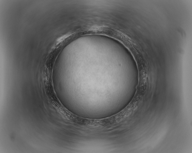 X0000112511158200908171327