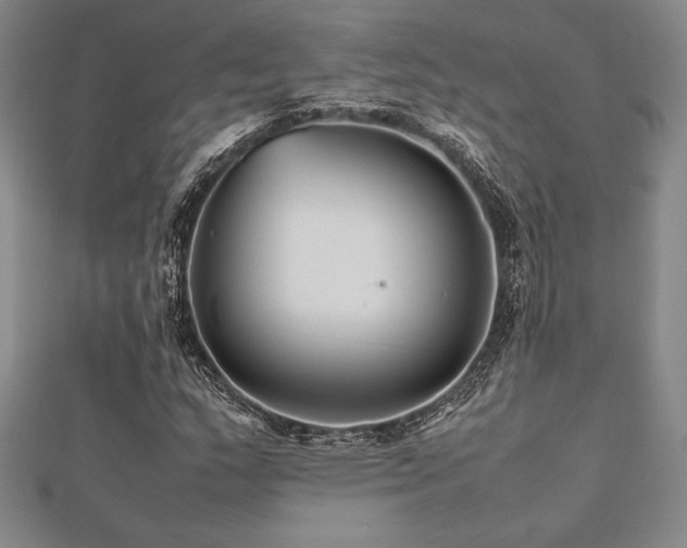 X0000112511159200908171327