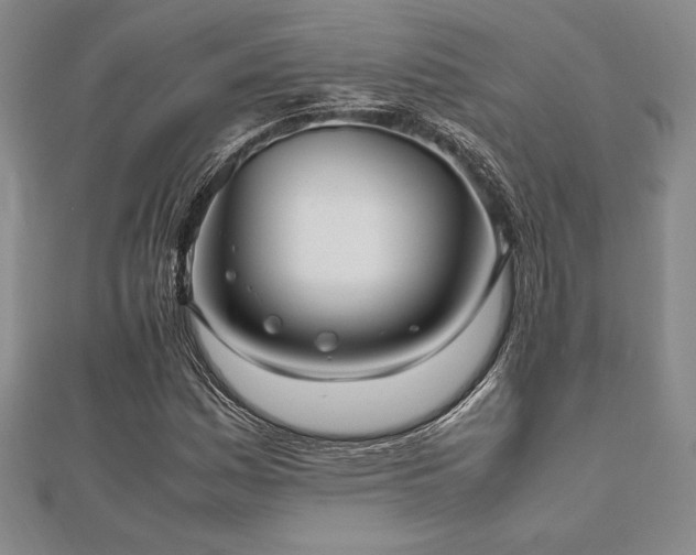X0000112511161200908171327