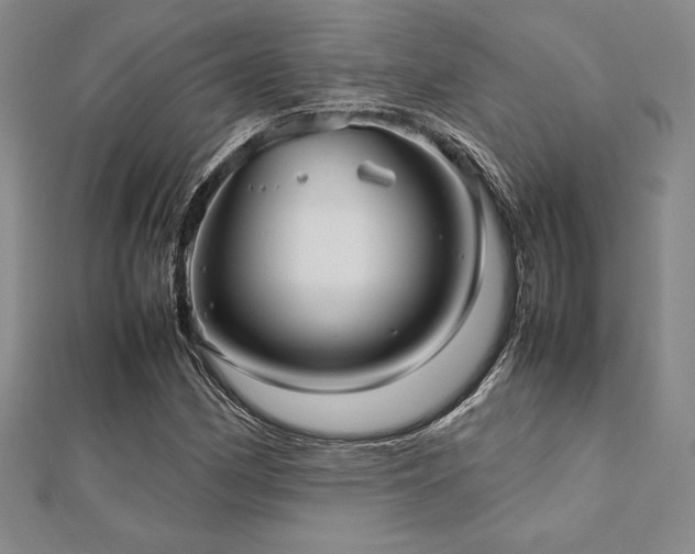 X0000112511162200908171327