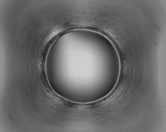 X0000112511163200908171327