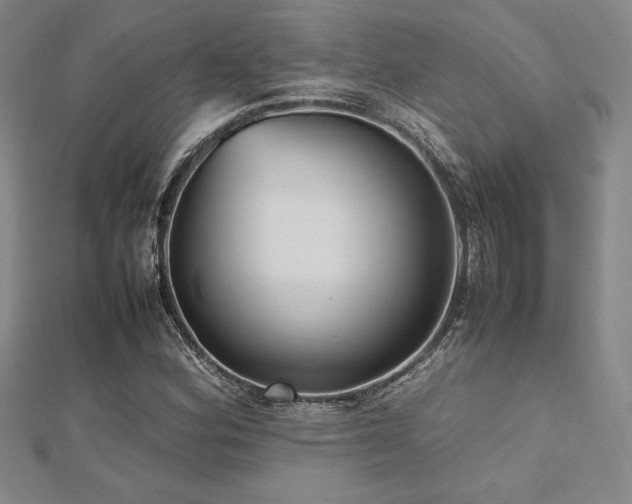 X0000112511164200908171327
