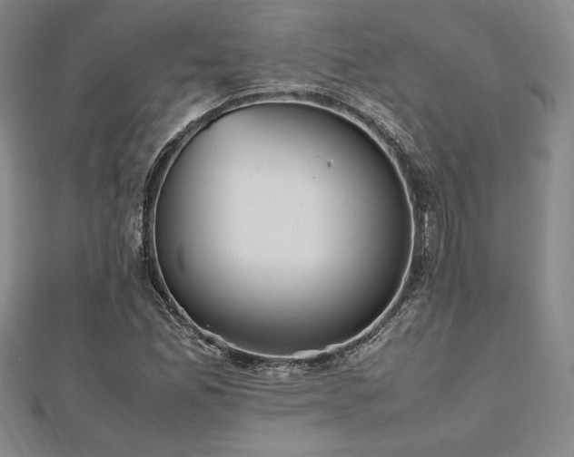 X0000112511165200908171327