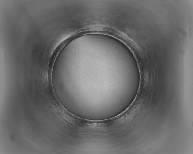 X0000112511166200908171327