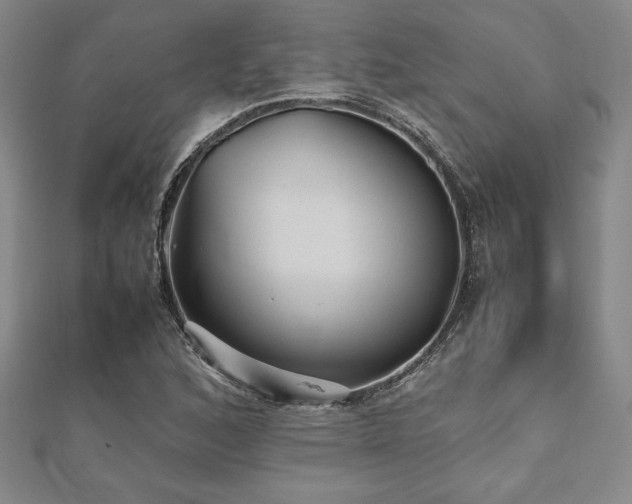 X0000112511168200908171327