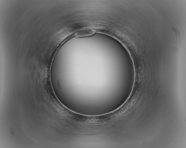X0000112511169200908171327