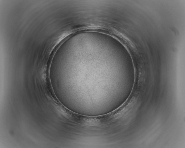 X0000112511170200908171327