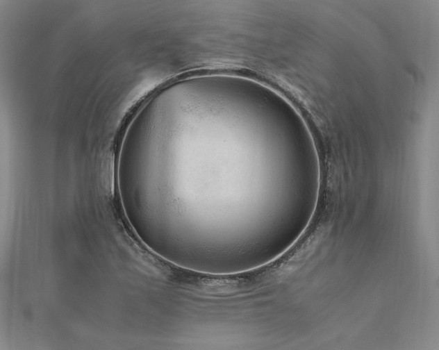 X0000112511171200908171327