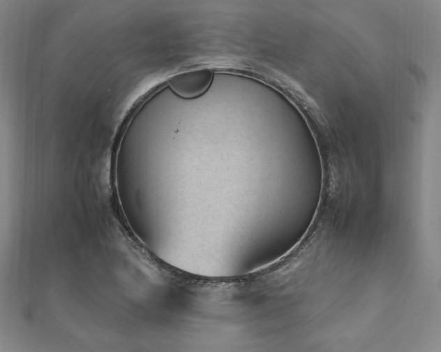X0000112511174200908171327