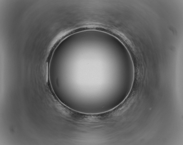 X0000112511175200908171327