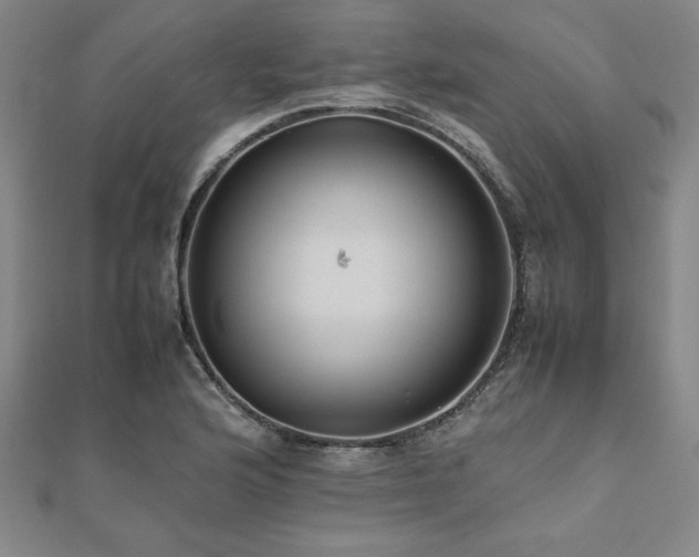 X0000112511176200908171327