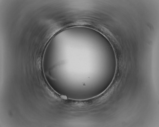 X0000112511177200908171327