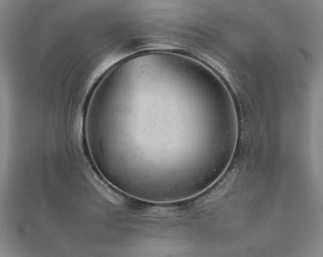 X0000112511179200908171327