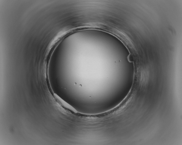 X0000112511180200908171327