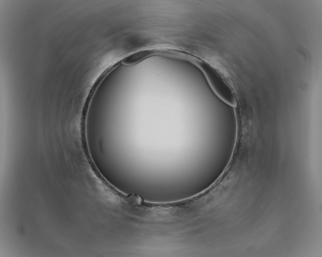 X0000112511181200908171327