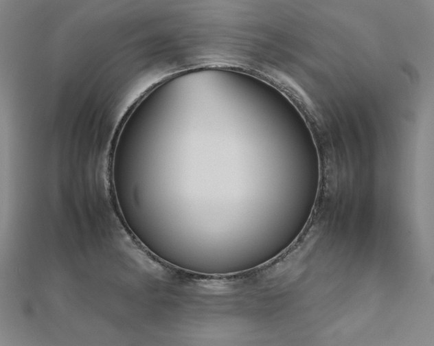 X0000112511182200908171327