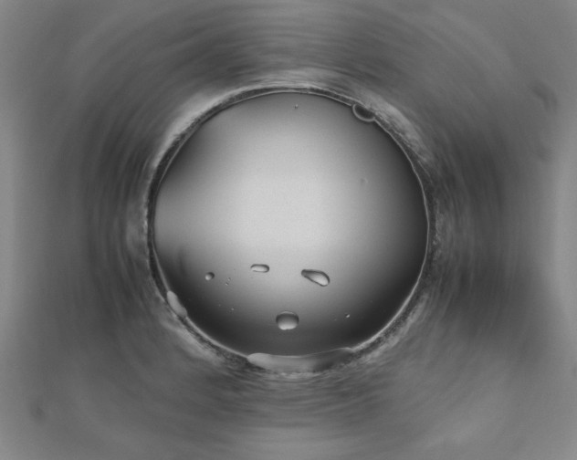X0000112511184200908171327