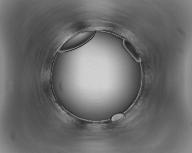 X0000112511185200908171327