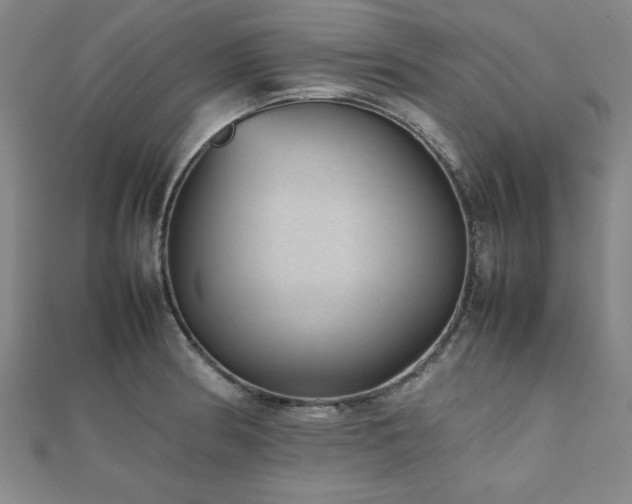 X0000112511186200908171327