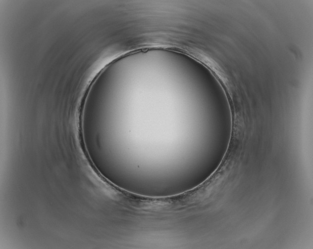 X0000112511187200908171327