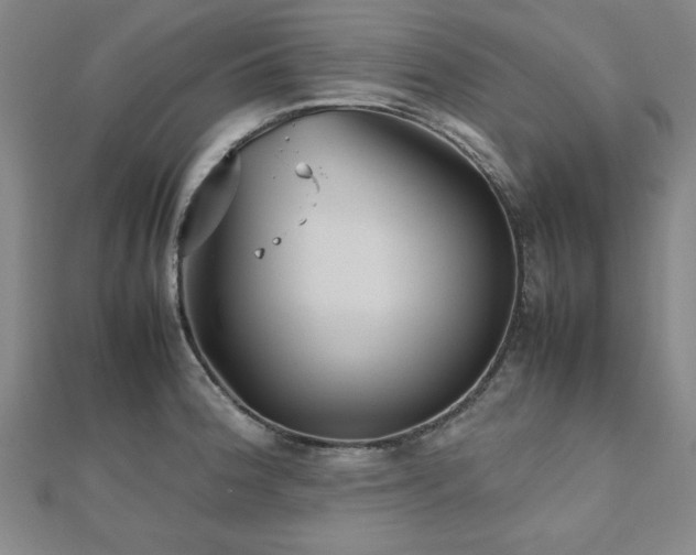 X0000112511188200908171327