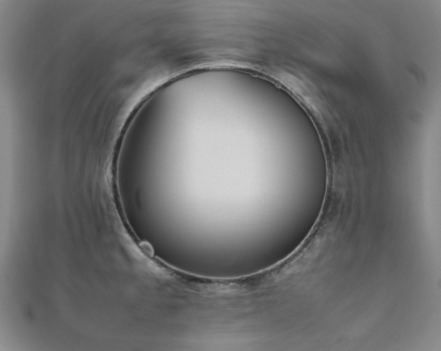 X0000112511189200908171327